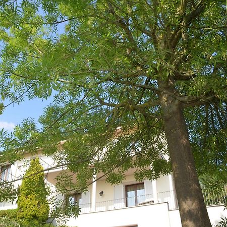 Villa Patrizia Moncalvo Luaran gambar