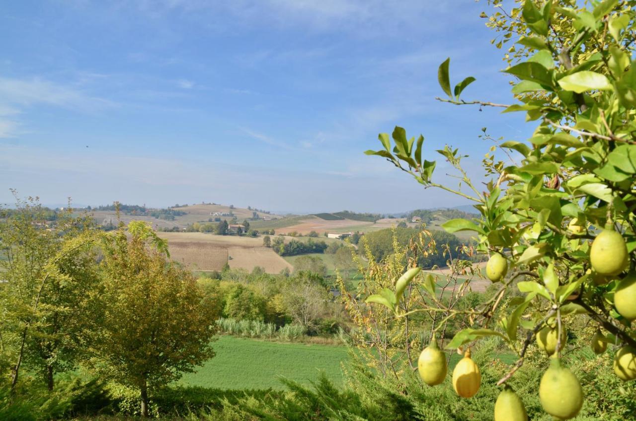 Villa Patrizia Moncalvo Luaran gambar