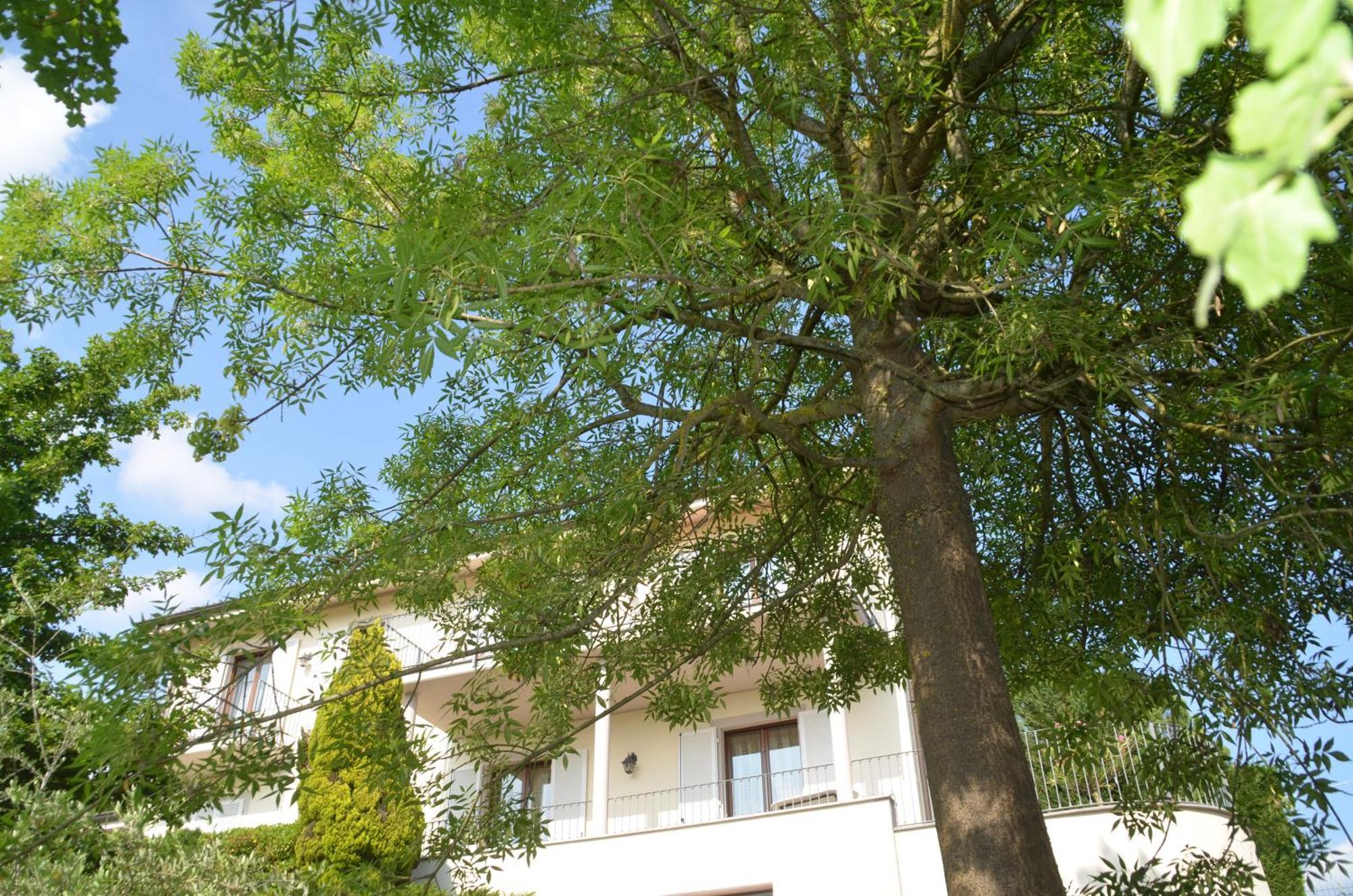 Villa Patrizia Moncalvo Luaran gambar